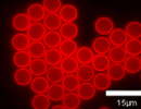  Label-Free Bioanalytical Detection Using Membrane-Coated Silica Nanoparticles @ Stanford/ IBM ARC/ UC Davis/ UC Berkeley