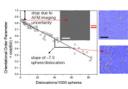 Defect Density Limits Orientational Order in  Shear-Aligned Block Copolymer Films