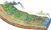 In image of standard watershed located on a hill slope.