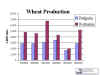 Romanian and Bulgarian Wheat Production