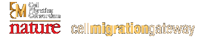 Cell Migration Gateway Logo