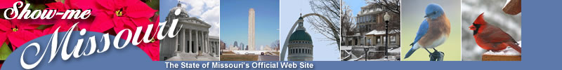 Composite graphic  representing citizen submissions for the MO State Portal