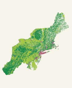 Northeast region satellite map