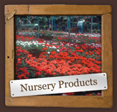 Nursery Products