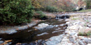 Gulpha Creek in fall, below campground amphitheater, with bridge over Gorge Road in right background