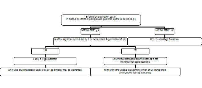 Decision tree to determine whether an investigational drug is a substrate for P-gp and whether an in vivo drug interaction study with a P-gp inhibitor is needed