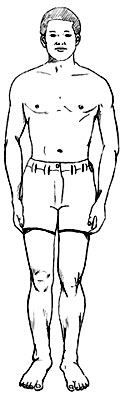 Image of male body.