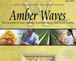 Amber Waves cover, June 2007