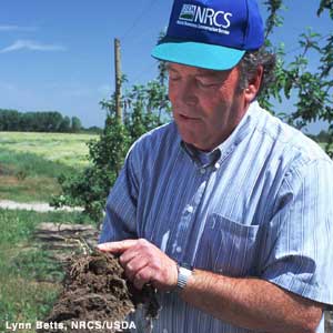 Photo: Farmer looking at a soil sample
