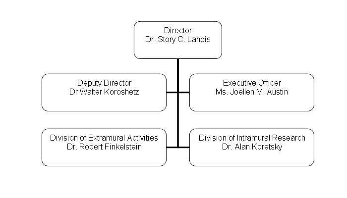 Organization chart for NINDS. The chart shows 5 boxes, the Director box at the top with 4 beneath. The Director of NINDS is Dr. Story C. Landis. The director's 4 direct reports are: Deputy Director Dr. Walter Koroshetz, Executive Officer Ms. Joellen M. Austin, Division of Extramural Activities Dr. Robert Finkelstein, and Division of Intramural Research Dr. Alan Koretsky.
