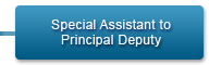 Special Assistant to Principal Deputy
