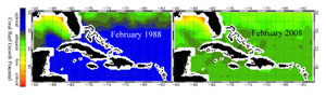 The potential for coral growth in the Caribbean region is dramatically changing due to ocean acidification.