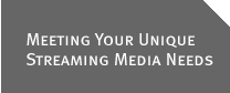 Meeting Your Unique Streaming Media Needs