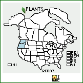 Distribution of Penstemon barrettiae A. Gray. . 