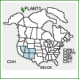 Distribution of Penstemon comarrhenus A. Gray. . Image Available. 