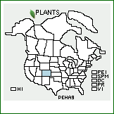 Distribution of Penstemon hallii A. Gray. . 