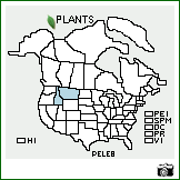 Distribution of Penstemon lemhiensis (D.D. Keck) D.D. Keck & Cronquist. . Image Available. 