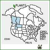 Distribution of Penstemon lyallii (A. Gray) A. Gray. . 