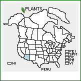 Distribution of Penstemon nudiflorus A. Gray. . 