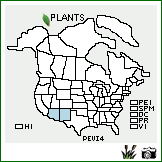 Distribution of Penstemon virgatus A. Gray. . Image Available. 