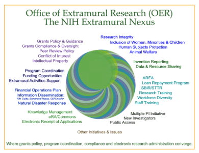 OER: NIH's Extramural Nexus