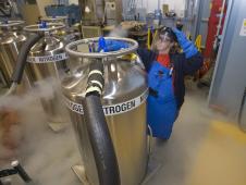 Kathleen Devol monitors liquid nitrogen tanks