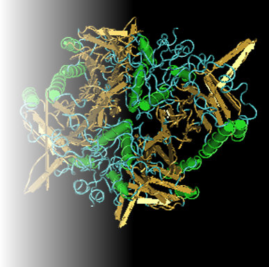 3D structure of an Amino Acid molecule representing Amino Acid ingredients