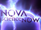 NOVA scienceNOW logo
