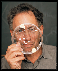 Robert Langer looking through a petri dish