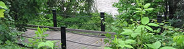 Boardwalk on a hiking path