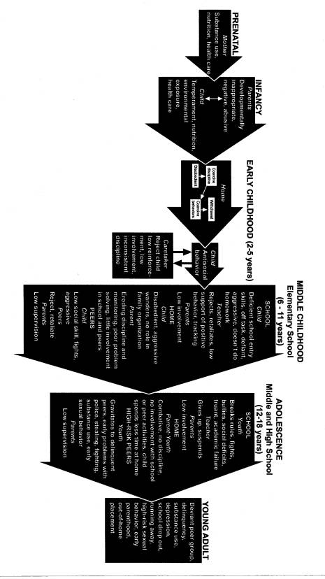 Diagram of model of development of antisocial behavior