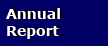 annual report