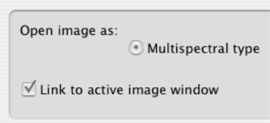 MultiSpec "Open image as" window