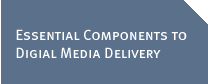 Essential Components To Digital Media Delivery