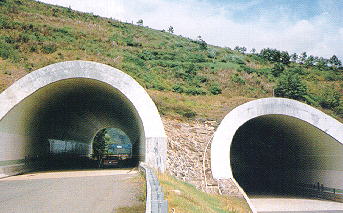 Hospital Rock Tunnel.