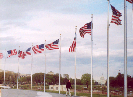 Flags on the lee side of the Washington Monument