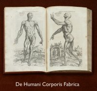 Vesalius' De Humani Corporis Fabrica open book