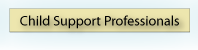 Information for Child Support Professionals