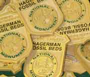 Become a Hagerman Fossil Beds Junior Ranger!