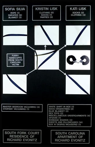 Diagram of fiber evidence common to both victims, Kati Lisk and Kristen Lisk.