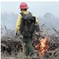 Firefighter working a prescribed burn