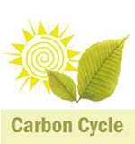 Carbon Cycle Logo
