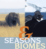 Seasons and Biomes Logo