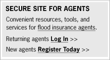Secure Site for Agents link