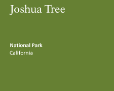 Joshua Tree National Park