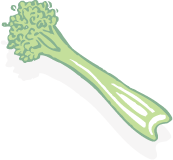 Illustration of celery