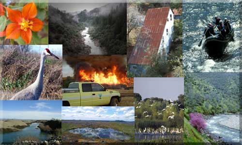 Photo collage of Folsom Resource Area programs and projects
