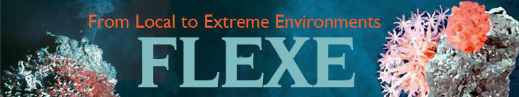 From Local to Extreme Environments banner