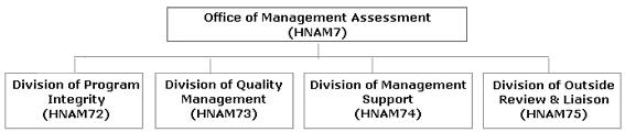 Org Chart