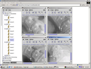 Screen shot of the Digital Atlas image processing interface